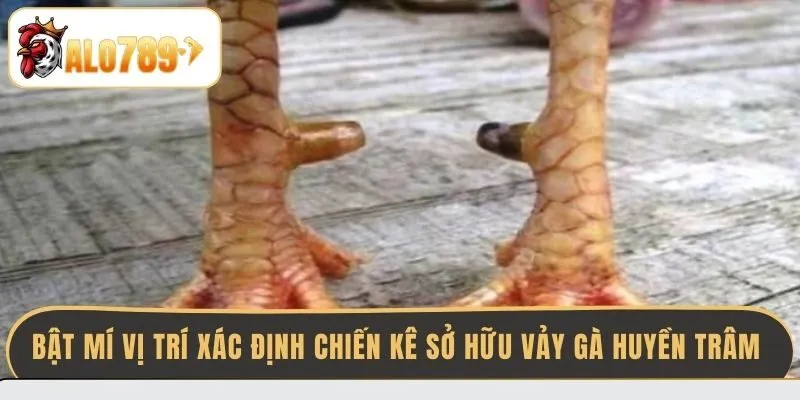 bat-mi-vi-tri-xac-dinh-chien-ke-so-huu-vay-ga-huyen-tram