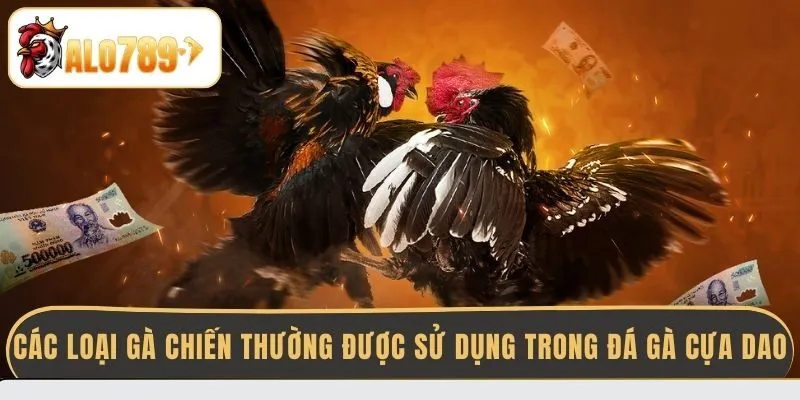 cac-loai-ga-chien-thuong-duoc-su-dung-trong-da-ga-cua-dao