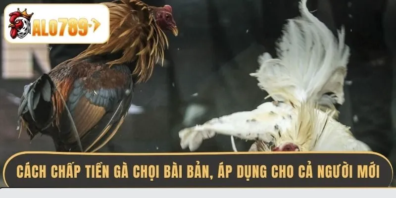 cach-chap-tien-ga-choi-bai-ban-ap-dung-cho-ca-nguoi-moi