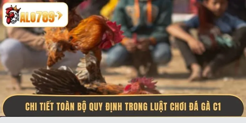 chi-tiet-toan-bo-quy-dinh-trong-luat-choi-da-ga-c1