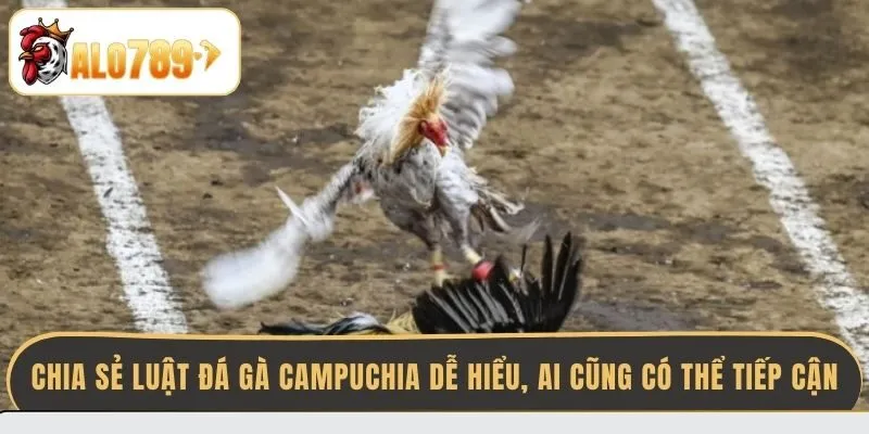 chia-se-luat-da-ga-campuchia-de-hieu-ai-cung-co-the-tiep-can
