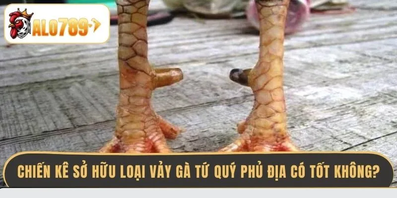 chien-ke-so-huu-loai-vay-ga-tu-quy-phu-dia-co-tot-khong