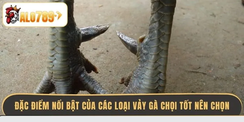 dac-diem-noi-bat-cua-cac-loai-vay-ga-choi-tot-nen-chon