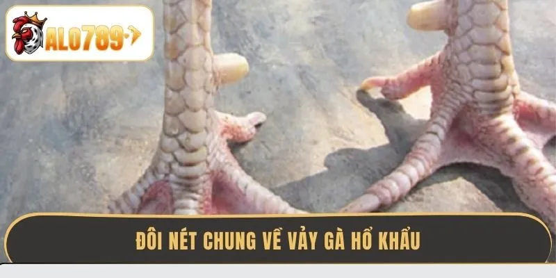 doi-net-chung-ve-vay-ga-ho-khau