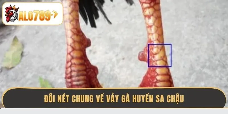 doi-net-chung-ve-vay-ga-huyen-sa-chau