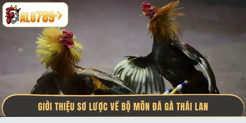 gioi-thieu-so-luoc-ve-bo-mon-da-ga-thai-lan