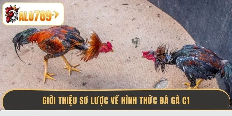 gioi-thieu-so-luoc-ve-hinh-thuc-da-ga-c1