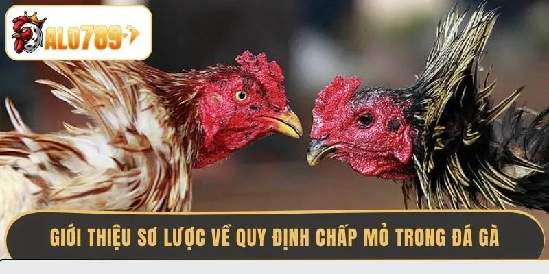 gioi-thieu-so-luoc-ve-quy-dinh-chap-mo-trong-da-ga