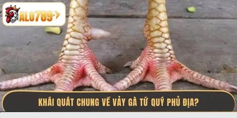 khai-quat-chung-ve-vay-ga-tu-quy-phu-dia