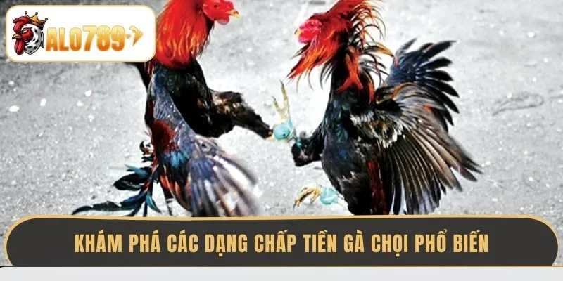 kham-pha-cac-dang-chap-tien-ga-choi-pho-bien