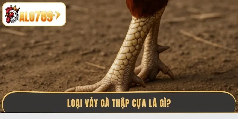 loai-vay-ga-thap-cua-la-gi