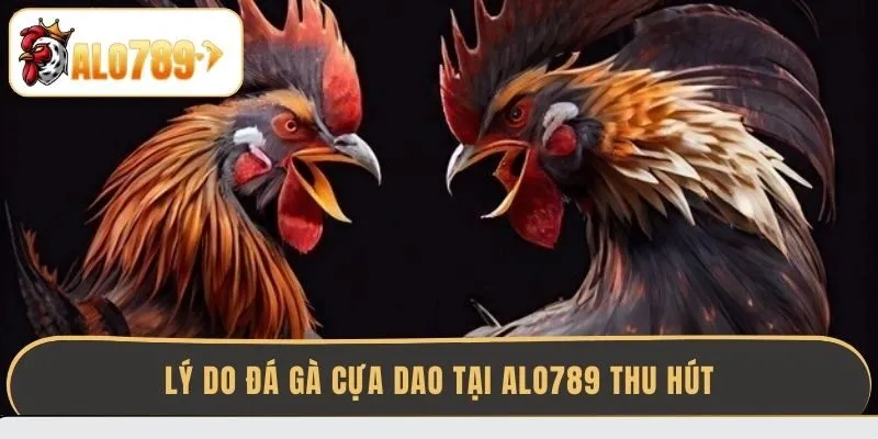 ly-do-da-ga-cua-dao-tai-alo789-thu-hut