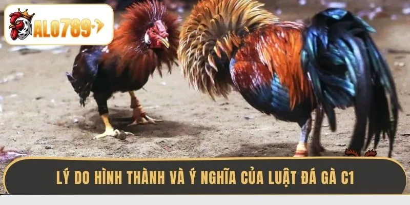 ly-do-hinh-thanh-va-y-nghia-cua-luat-da-ga-c1
