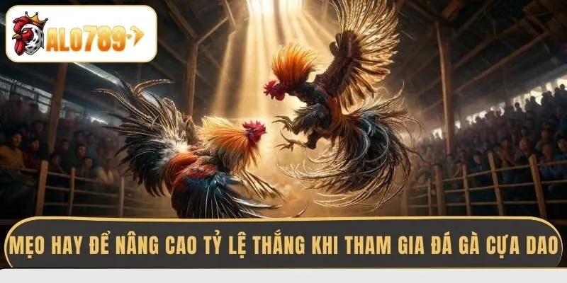 meo-hay-de-nang-cao-ty-le-thang-khi-tham-gia-da-ga-cua-dao