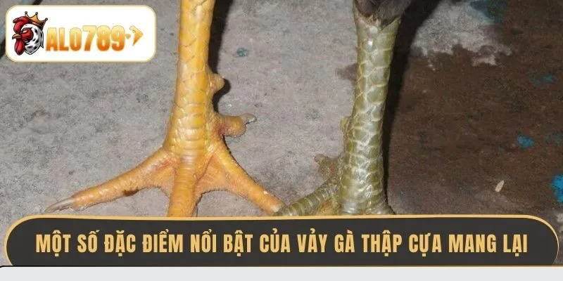 mot-so-dac-diem-noi-bat-cua-vay-ga-thap-cua-mang-lai