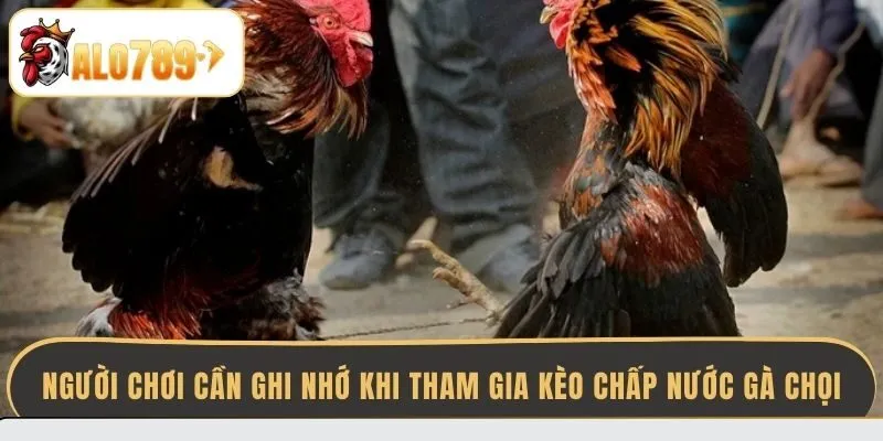 nguoi-choi-can-ghi-nho-khi-tham-gia-keo-chap-nuoc-ga-choi