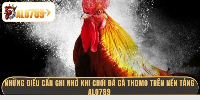 nhung-dieu-can-ghi-nho-khi-choi-da-ga-thomo-tren-nen-tang-alo789