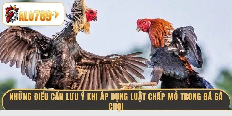 nhung-dieu-can-luu-y-khi-ap-dung-luat-chap-mo-trong-da-ga-choi