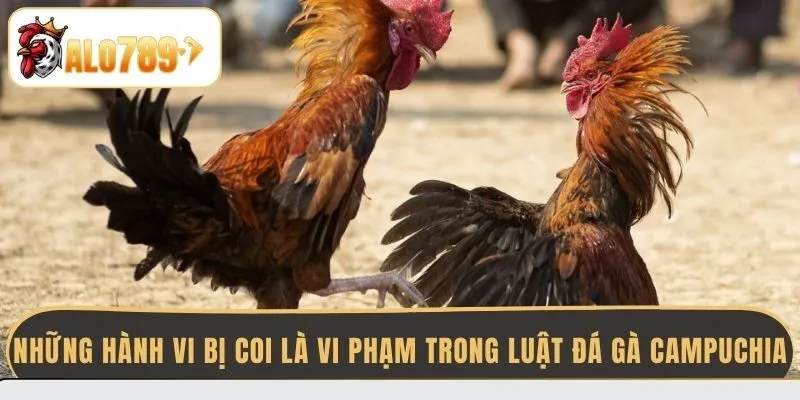nhung-hanh-vi-bi-coi-la-vi-pham-trong-luat-da-ga-campuchia
