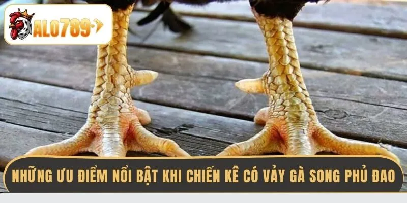 nhung-uu-diem-noi-bat-khi-chien-ke-co-vay-ga-song-phu-dao