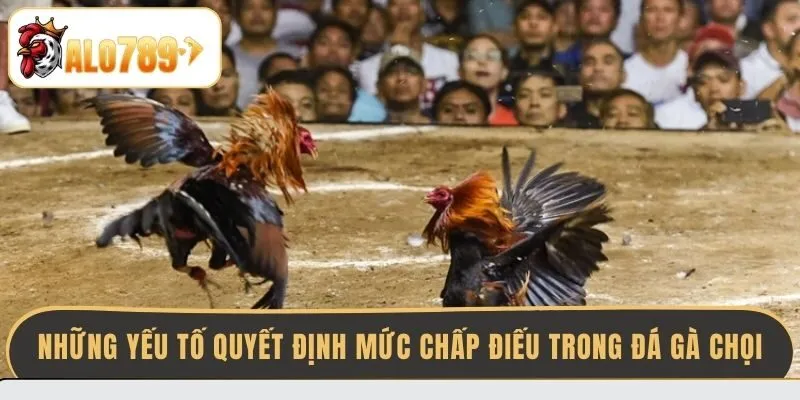 nhung-yeu-to-quyet-dinh-muc-chap-dieu-trong-da-ga-choi