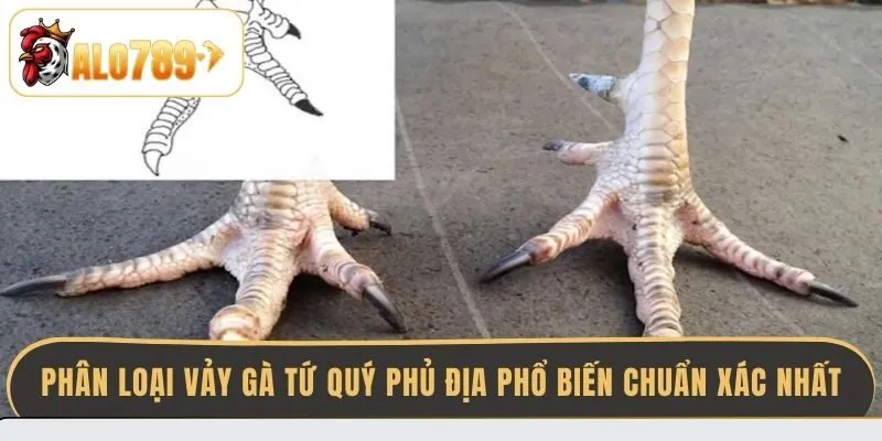 phan-loai-vay-ga-tu-quy-phu-dia-pho-bien-chuan-xac-nhat