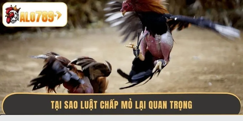 tai-sao-luat-chap-mo-lai-quan-trong