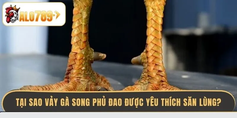 tai-sao-vay-ga-song-phu-dao-duoc-yeu-thich-san-lung