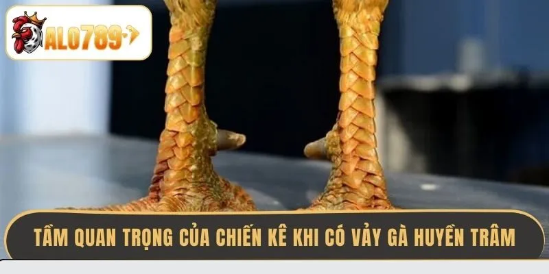 tam-quan-trong-cua-chien-ke-khi-co-vay-ga-huyen-tram