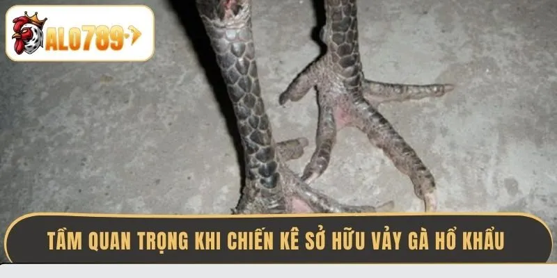 tam-quan-trong-khi-chien-ke-so-huu-vay-ga-ho-khau