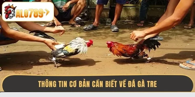 thong-tin-co-ban-can-biet-ve-da-ga-tre