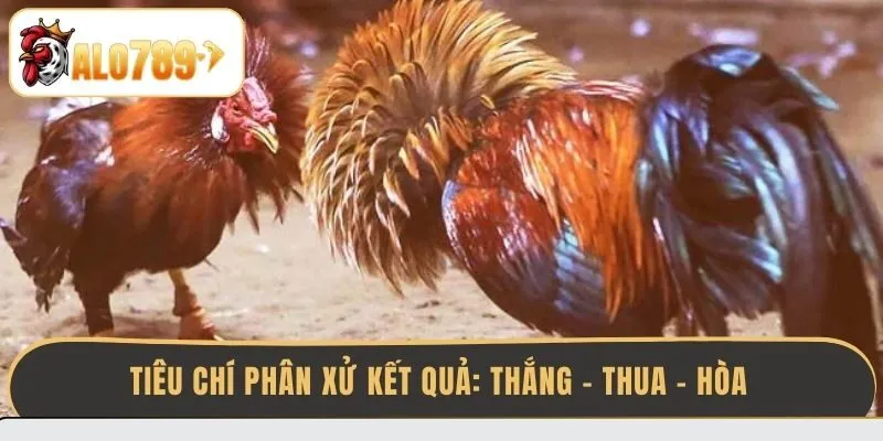 tieu-chi-phan-xu-ket-qua-thang-thua-hoa