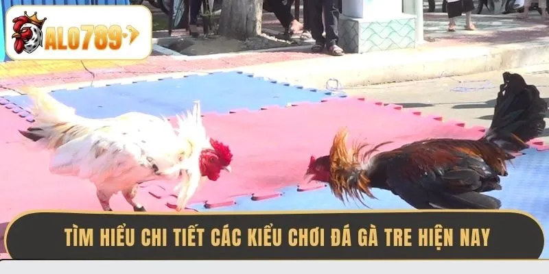 tim-hieu-chi-tiet-cac-kieu-choi-da-ga-tre-hien-nay
