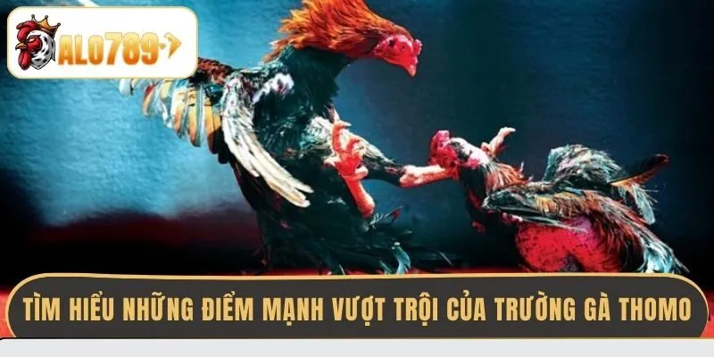 tim-hieu-nhung-diem-manh-vuot-troi-cua-truong-ga-thomo