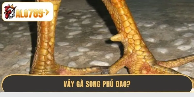 vay-ga-song-phu-dao