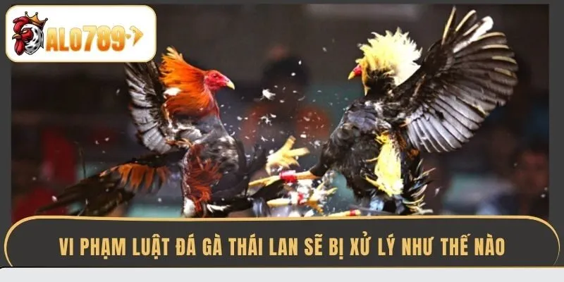 vi-pham-luat-da-ga-thai-lan-se-bi-xu-ly-nhu-the-nao