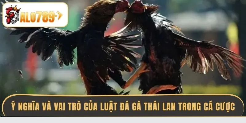 y-nghia-va-vai-tro-cua-luat-da-ga-thai-lan-trong-ca-cuoc